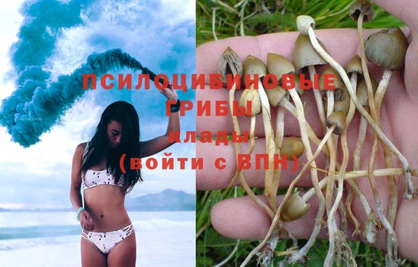 прущие крисы Баксан
