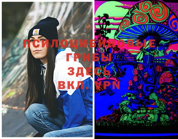 прущие крисы Баксан