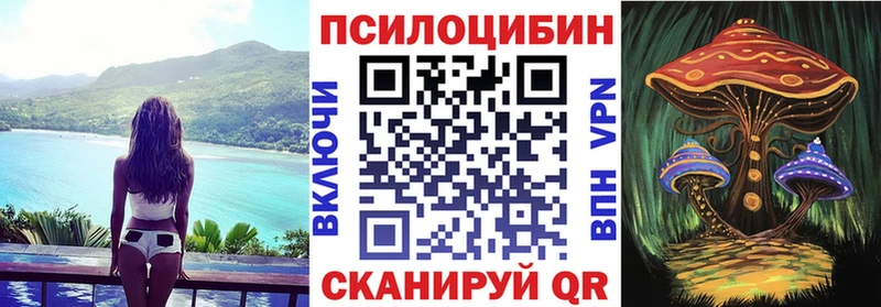 MEGA ссылки  Краснокамск  Галлюциногенные грибы Psilocybe 
